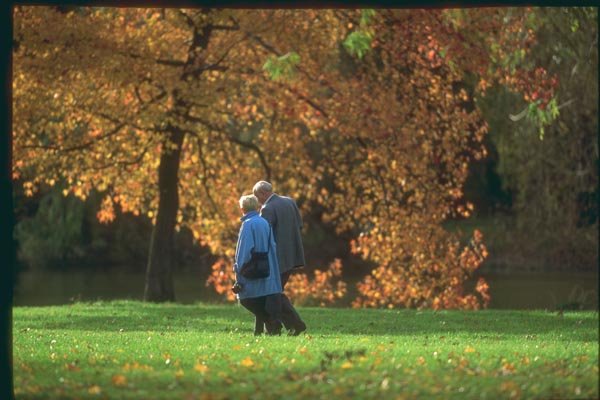 174052 Retired Couple Walking In Autumn Near Avignon A4 Photo Print
