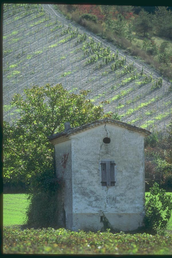 174057 Vineyard Near Die A4 Photo Print