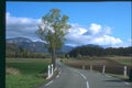 174066 Road Between Die And Aspres A4 Photo Print