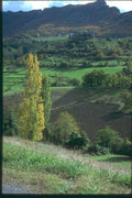 174067 Landscape In Autumn Near Sault A4 Photo Print