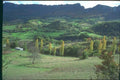 174075 Landscape In Autumn Near Sault A4 Photo Print