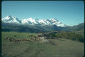 174094 Flock Of Sheep In The Mountains Of Devoluy A4 Photo Print