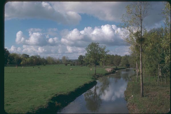 174098 Little River Near Auch A4 Photo Print