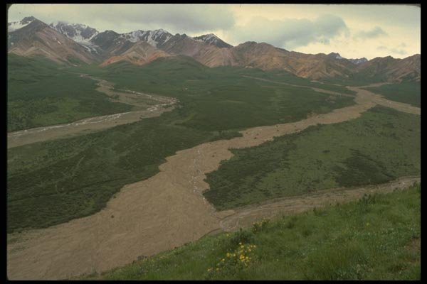 176004 Polychrome Basin, Alaska A4 Photo Print