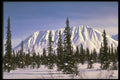 176011 Winter In The Alaska Range A4 Photo Print