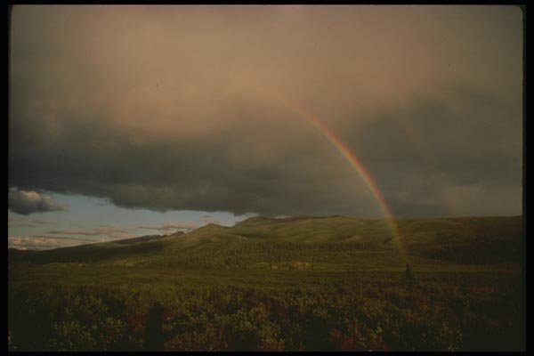 176013 Rainbow In The Tundra, Alaska A4 Photo Print
