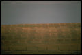 176018 Wheat Fields, Kansas A4 Photo Print