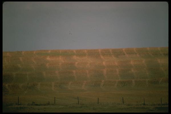 176018 Wheat Fields, Kansas A4 Photo Print