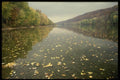 176022 Autumn Along The Delaware River A4 Photo Print