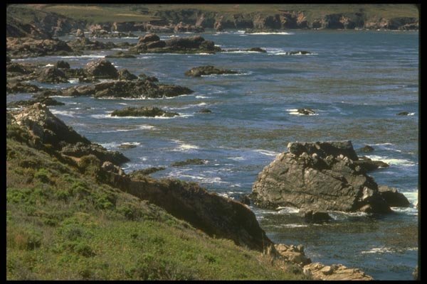 176023 Oregon Coast A4 Photo Print