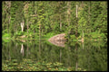 176026 Reflections In A Lake, Olympic National Park, Washington A4 Photo Print