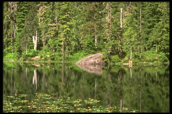 176026 Reflections In A Lake, Olympic National Park, Washington A4 Photo Print