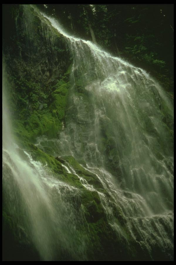 176027 Lower Proxy Falls, Oregon A4 Photo Print