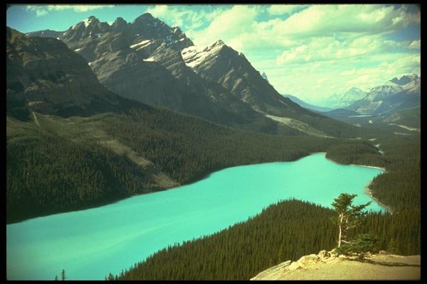 176035 Canadian Rockies, Alberta A4 Photo Print