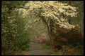 176045 Spring Path A4 Photo Print