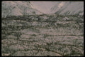 176049 Winter, Matanushka Valley, Alaska A4 Photo Print