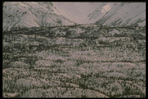 176049 Winter, Matanushka Valley, Alaska A4 Photo Print