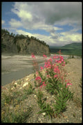 176066 Matanushka Valley, Alaska A4 Photo Print