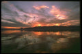 176088 Salton Sea, California A4 Photo Print