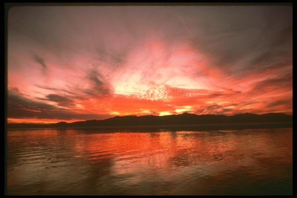 176089 Salton Sea, California A4 Photo Print