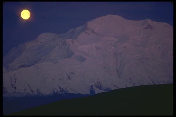 176099 Denali, Alaska A4 Photo Print