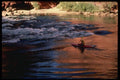 177001 Kayaker, Colorado River A4 Photo Print