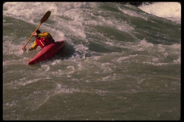 177008 Kayaker In White Water, Grand Canyon A4 Photo Print