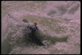 177010 Kayaker In White Water, Grnad Canyon A4 Photo Print