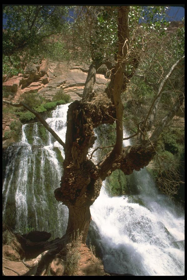 177021 Nankoweap Falls A4 Photo Print