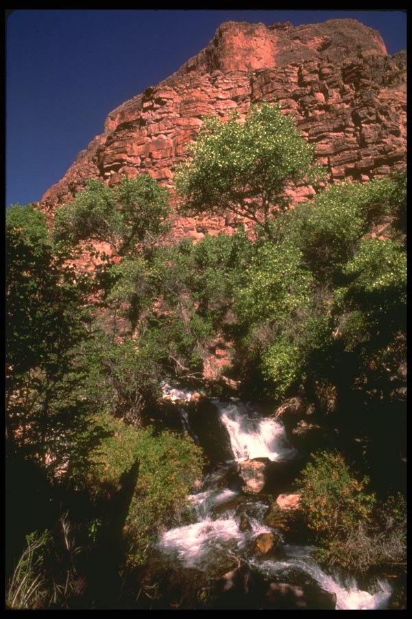 177040 Nankoweap Falls A4 Photo Print