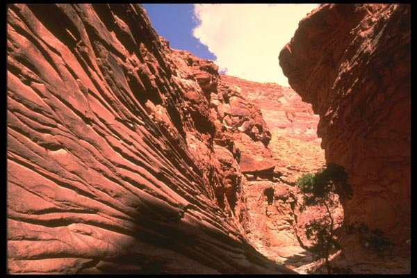 177045 Tapaitz Canyon A4 Photo Print