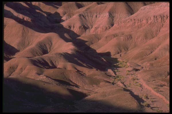 177057 Arizona Landscape A4 Photo Print