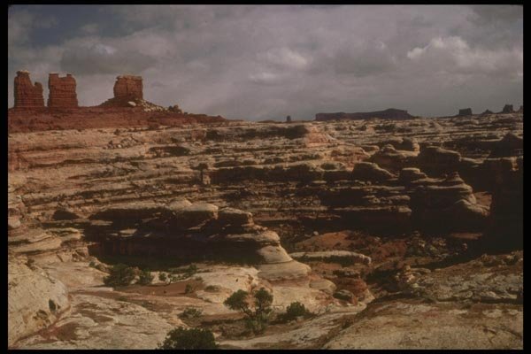 177063 Chocolate Drops And The Maze, Canyonlands A4 Photo Print