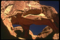 177064 Skull Arch A4 Photo Print