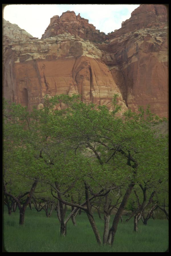 177071 Capital Reef A4 Photo Print