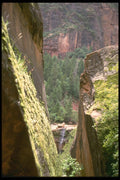 177091 Mesa Verde A4 Photo Print