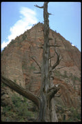 177099 Zion Canyon A4 Photo Print