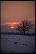 178003 Winter Sunset A4 Photo Print