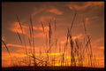 178008 Sunset Behind Fields A4 Photo Print