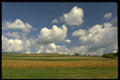 178023 Fields With Clouds In Sky A4 Photo Print