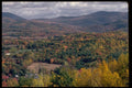 178024 Fall Trees In Valley A4 Photo Print