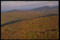 178028 Autumn Trees On Hillside A4 Photo Print