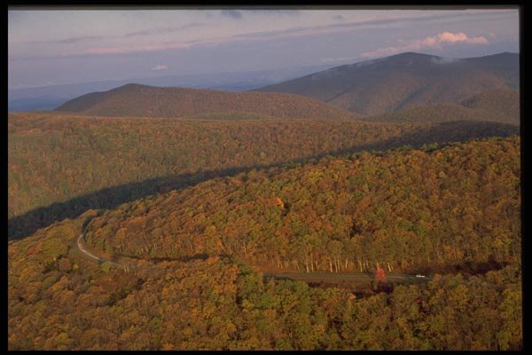 178028 Autumn Trees On Hillside A4 Photo Print