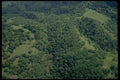 178034 Oak Trees On California Hills A4 Photo Print