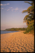 178041 Hawaiian Beach Front A4 Photo Print