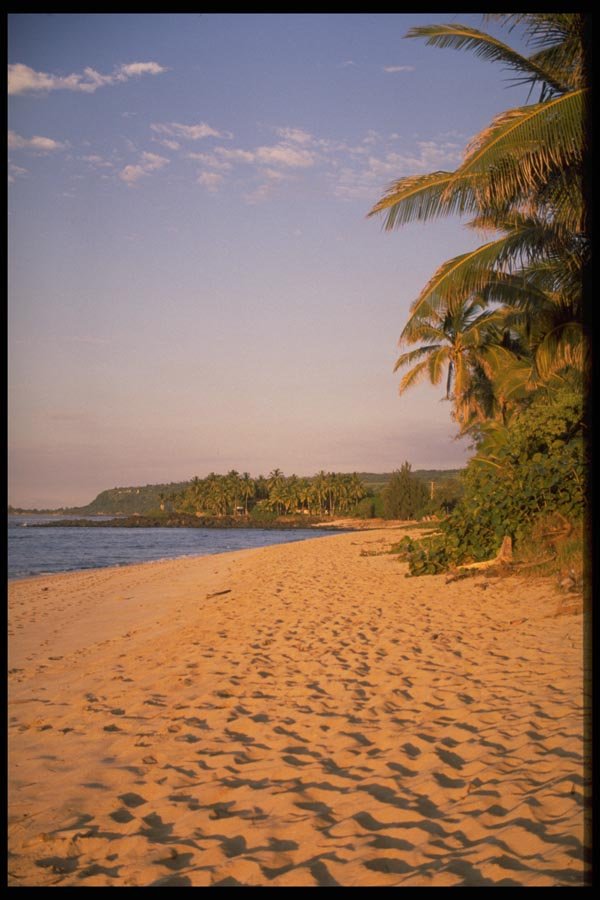 178041 Hawaiian Beach Front A4 Photo Print