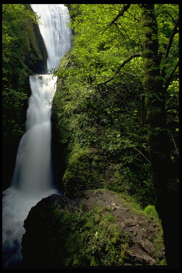 178046 Bridal Veil Falls, Columbia River, Oregon A4 Photo Print