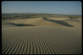 178054 Sand Dunes A4 Photo Print
