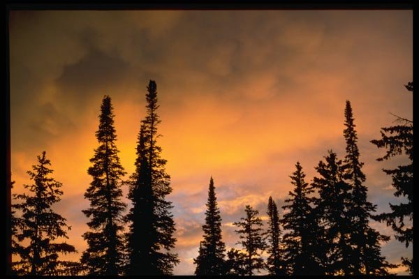 178064 Yellowstone At Sunset A4 Photo Print