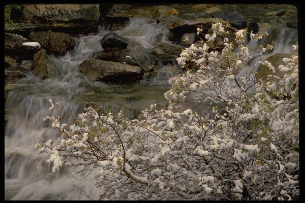 178067 Snow On Trees With Waterfall A4 Photo Print